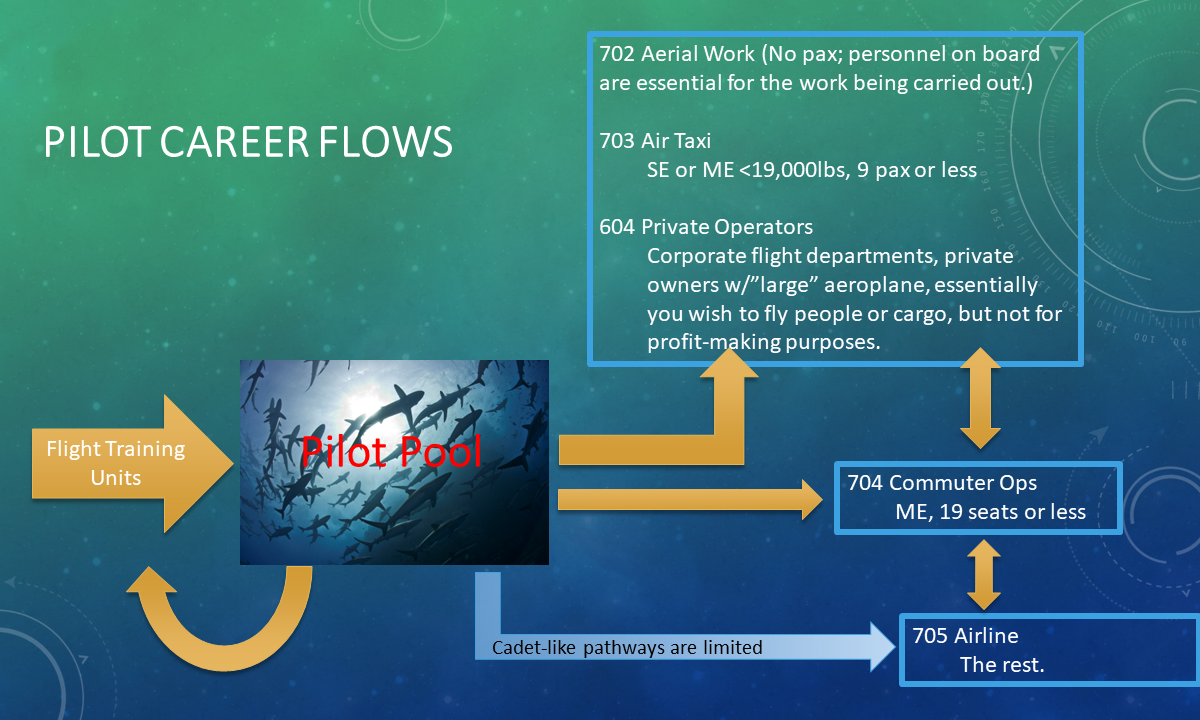 Career Flow Graphic